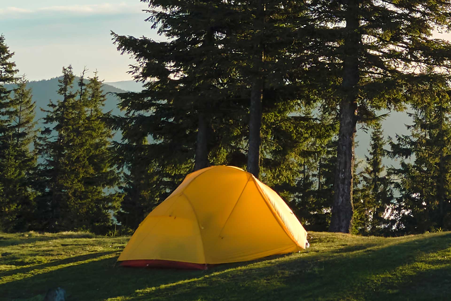 Tents set up in scenic Alberta campground for weekend campers