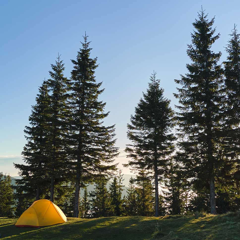 Camping Beside Leak