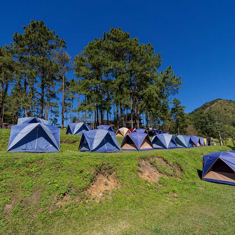 Camp in Bulk